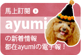 訂電子報